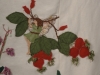 rose hips on Custom wedding dress by Tara Lynn Bridal 